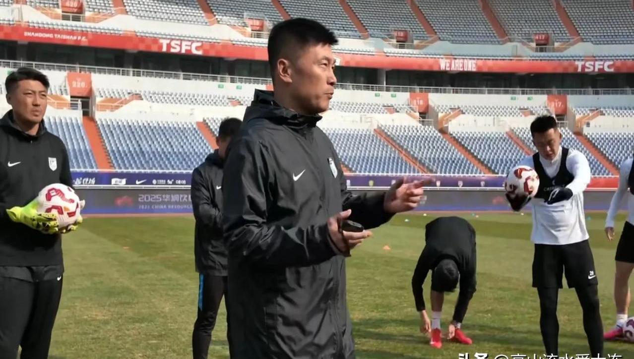 巴勒莫球员因伤下场，球队士气受到影响的简单介绍