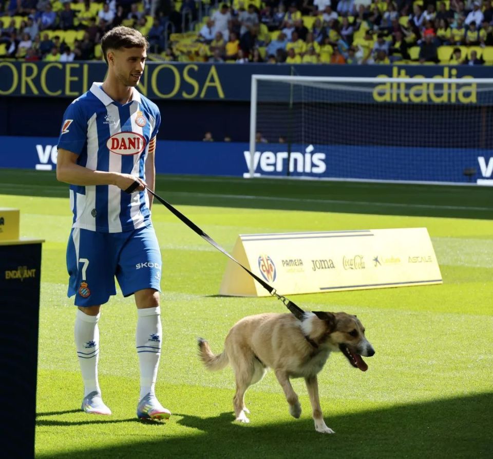 比利亚雷亚尔客场取胜,实力备受关注 比利亚雷亚尔客场取胜,实力备受关注